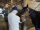 Jon Crawford checking out a horse at the Altoona race track stables