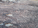 View of petroglyph at the dinner site