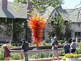 Chihuly glass sculpture entitled 