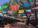 The colorful Mexican Market Square (Mercado)